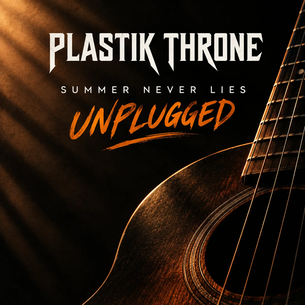Summer Never Lies Unplugged album cover by Plastik Throne